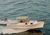 Motorboote : Amerikanische Cabin-Cruiser 6.5 - 9.5 m