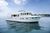 Motorboote : Motoryachten Trawler 15 - 30 m