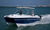 Motor-Katamarane : Cabin-Cruisers 6.5 - 9.5 m