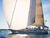 Kreuzfahrt-Segel : Spinnaker, Gennaker