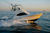 Sportfischerboote : Express-Cruiser 9.5 - 15 m