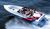 Offshoreboote : Runabouts