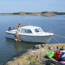 Außenbord-Daycruiser / Hard-top / mit geschlossenem...
