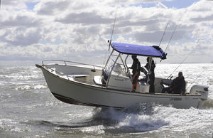 Außenbord-Konsolenboot / Gleiter / Mittelkonsole / Open