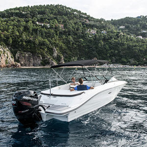 Außenbord-Runabout / Doppelkonsole / Bowrider / Wasserski