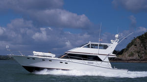 Fahrten-Motoryacht / geschlossene Flybridge / Gleiter