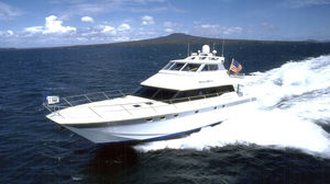 Fahrten-Motoryacht / geschlossene Flybridge / Gleiter