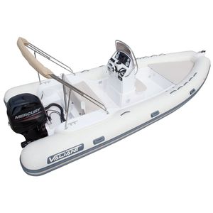 Außenbord-Schlauchboot / Festrumpf / Mittelkonsole / max. 10 Personen
