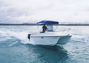 Katamaran-Konsolenboot / Außenbord / zweimotorig