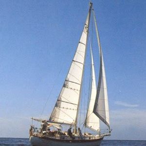 Großsegel / Vorsegel / für Fahrtensegelboote / cross-cut