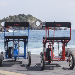 Klapp-Scooter / elektrisch
