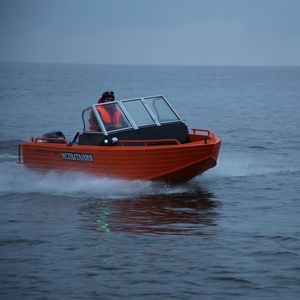 Außenbord-Runabout / Bowrider / Doppelkonsole / Sportfischer