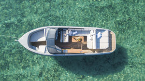 Innenborder-Runabout / elektrisch / Bowrider / Sport