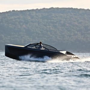 Innenborder-Runabout / Außenbord / elektrisch / max. 12 Personen