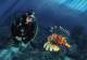DIVING CATALOGUE 2011