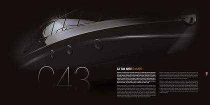 C43