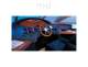 AZIMUT 62 - Azimut