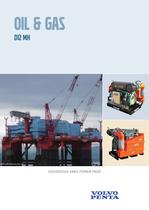 VP Oil Gas D12 2009