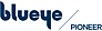 BLUEYE ROBOTICS AS