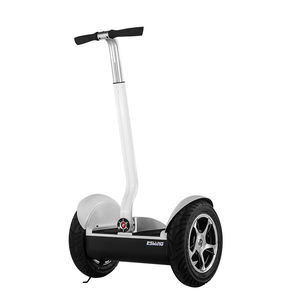 Einpersonen-Transportmittel 1
