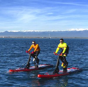 Einpersonen-Wasserfahrrad