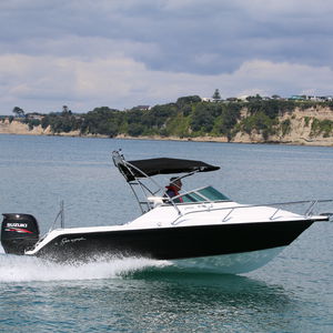 Außenborder-Daycruiser