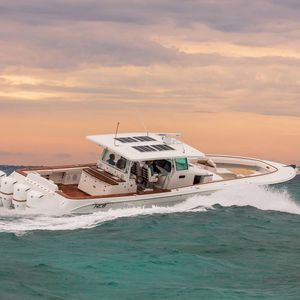 Motoryacht für Angelsport / Fahrten / Open / Hard-top