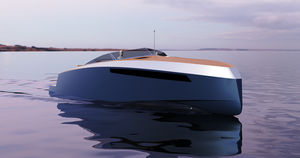 Außenborder-Daycruiser