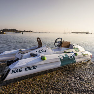 Trimaran-Konsolenboot
