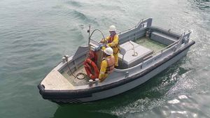 Mini-Schlepper-Berufsschiff 1