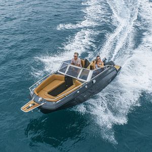 elektrisches Runabout