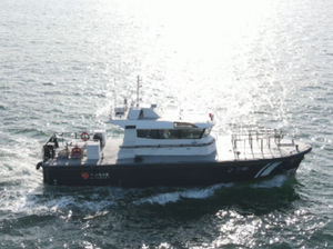 Lotsenboot Berufsschiff