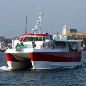 Passagierboot Berufsboot / Katamaran / Innenborder / Aluminium