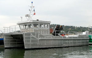 Arbeitsboot Berufsboot / Hafenboot / Katamaran / Innenborder