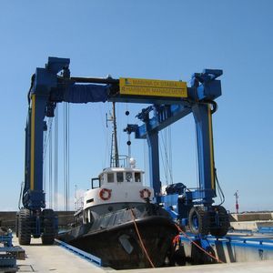 ferngesteuerter Travellift 1