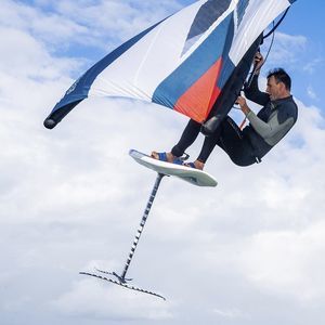 Wing-Foil 1