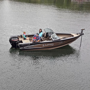 Außenborder-Runabout