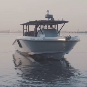 Patrouillenboot Berufsschiff