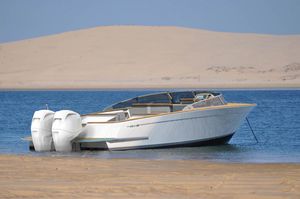 Außenborder-Runabout 1
