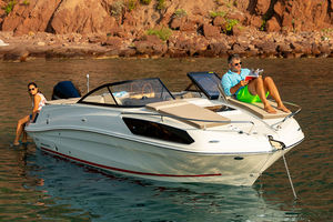 Cabin-Cruiser / Außenbord / Open / max. 9 Personen / 4 Kojen