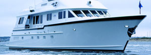Motoryacht für Kreuzfahrten 1