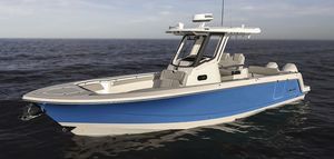 Konsolenboot mit Mittelkonsole