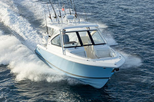 Außenborder-Runabout
