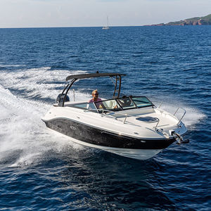 Außenbord-Runabout / Doppelkonsole / Wasserski / Sport