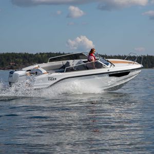 Außenbord-Daycruiser / Open / max. 6 Personen / mit Kabine