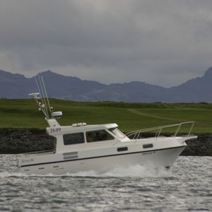 Express Cruiser / Diesel