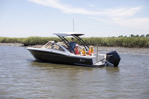 Außenborder-Runabout