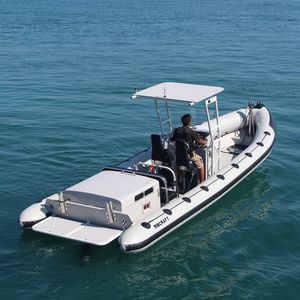 Passagierboot Berufsschiff 1