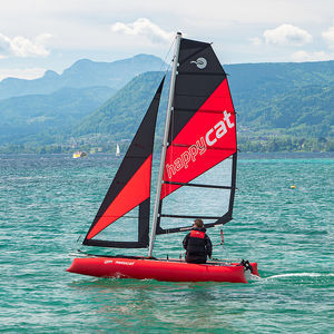 Freizeit-Sportkatamaran 1