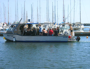 Taucherbasisboot Berufsschiff